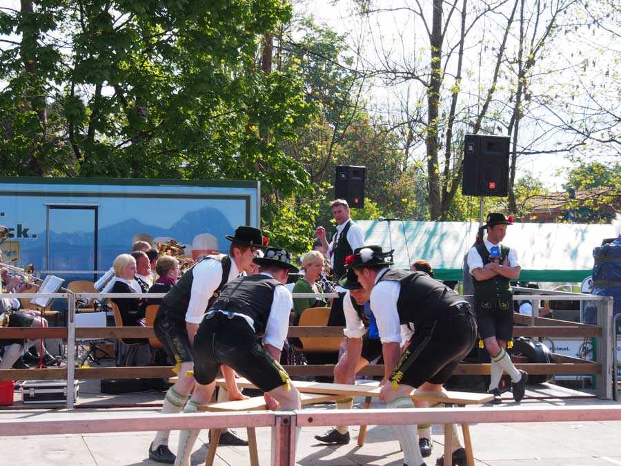 maibaum_aufstellen_rosenheim_118