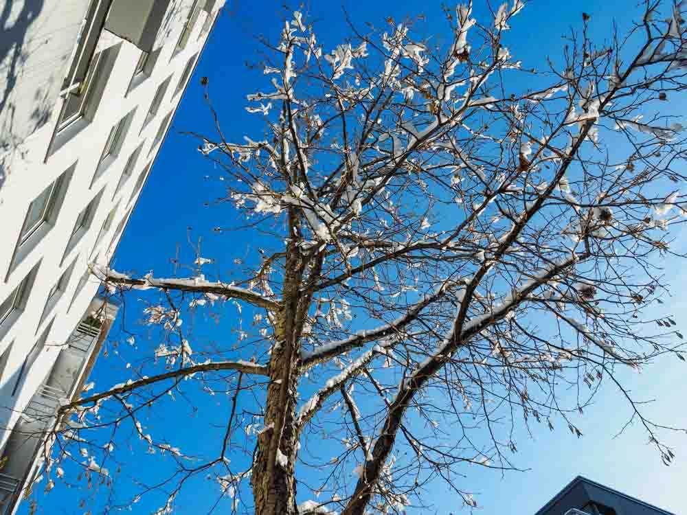 rosenheim_winter©stadttipps_rosenheim_033