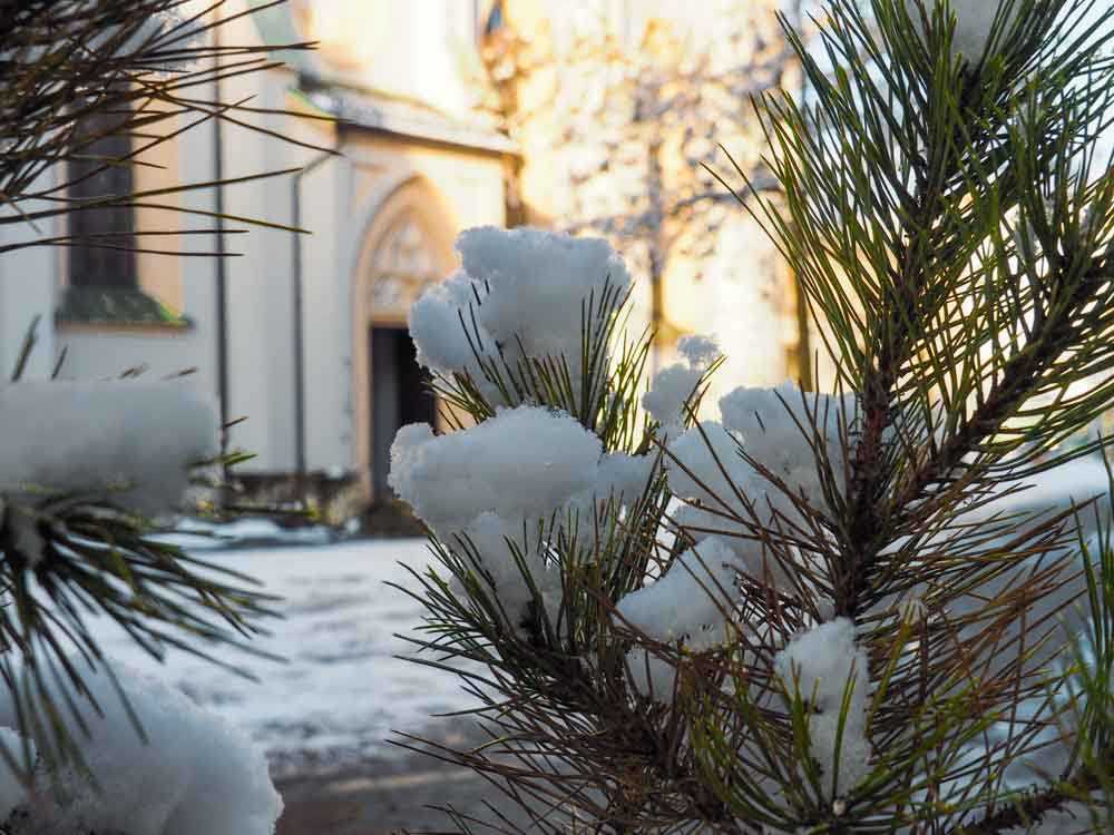 rosenheim_winter©stadttipps_rosenheim_045