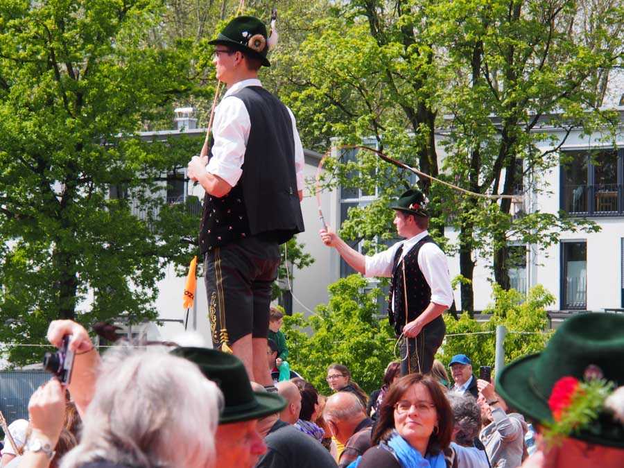 maibaum_aufstellen_rosenheim_107
