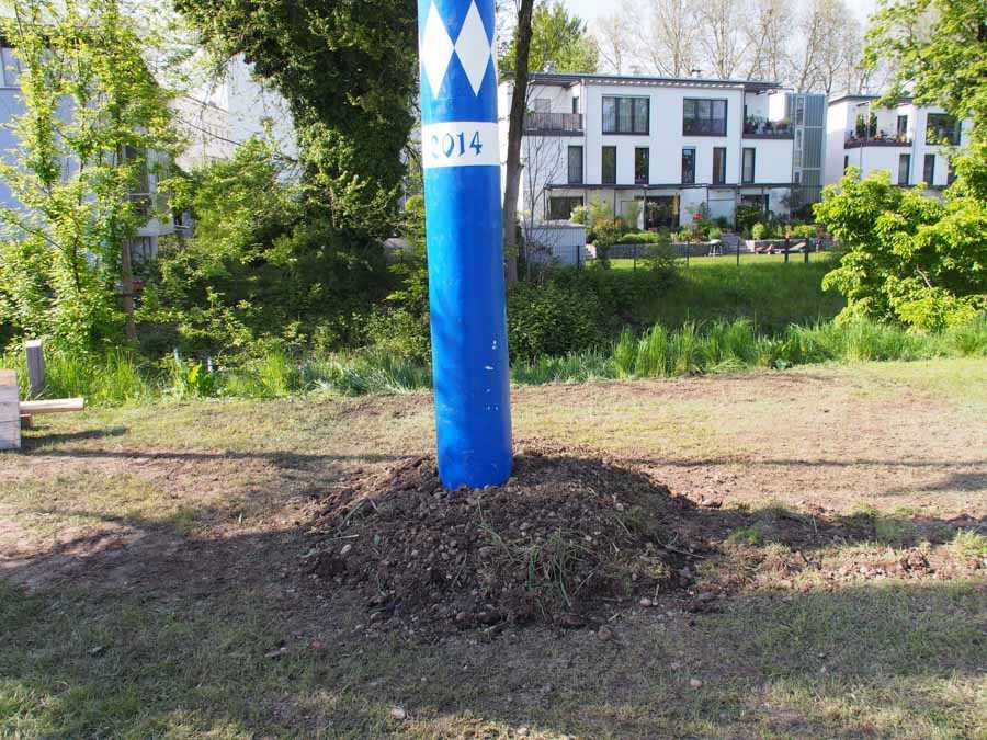 maibaum_aufstellen_rosenheim_086