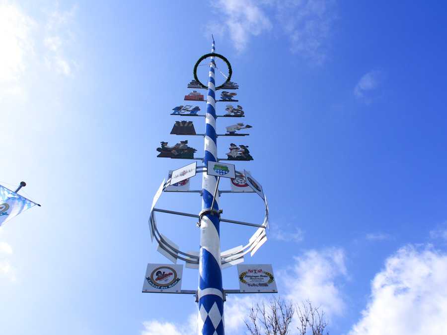 maibaum_aufstellen_rosenheim_085