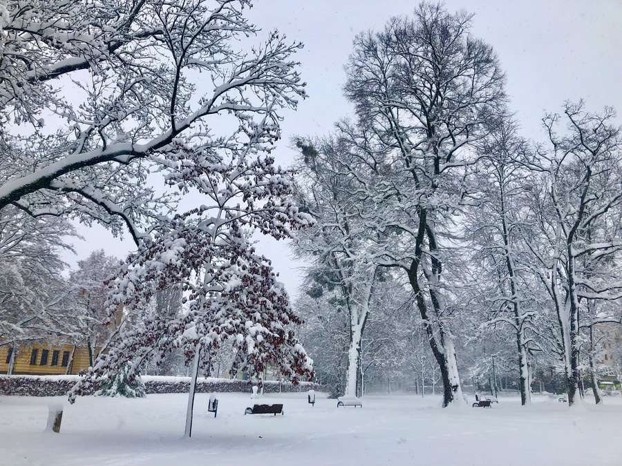 Achtung vor Schneebruch - Januar in Rosenheim