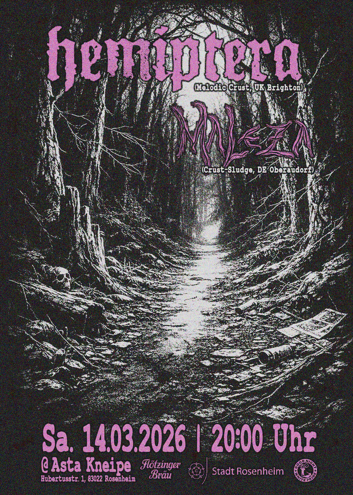 Hemiptera & Melza spielen in der Asta Kneipe Rosenheim