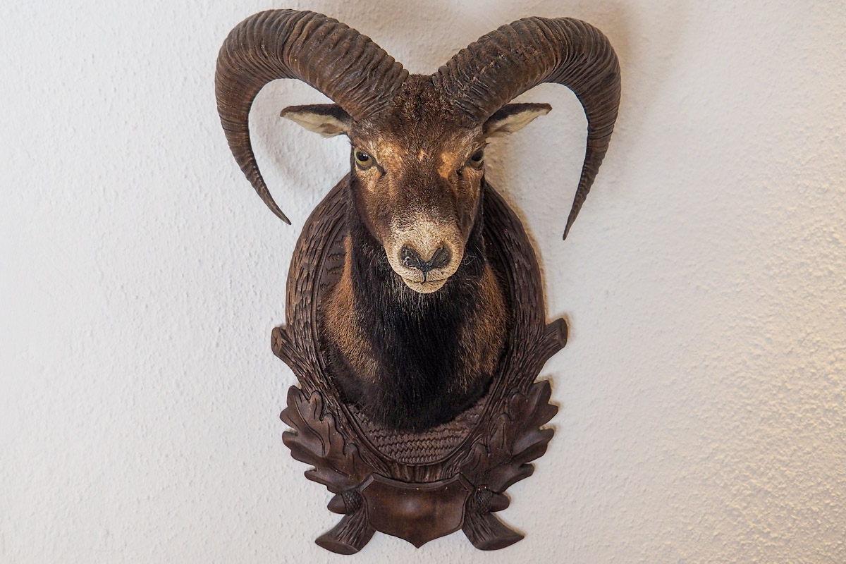 beo-mode-tracht-credit-stadttipps-rosenheim-11