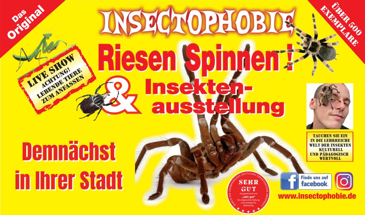 Insectophobie Riesenspinnen & Insekten Ausstellung
