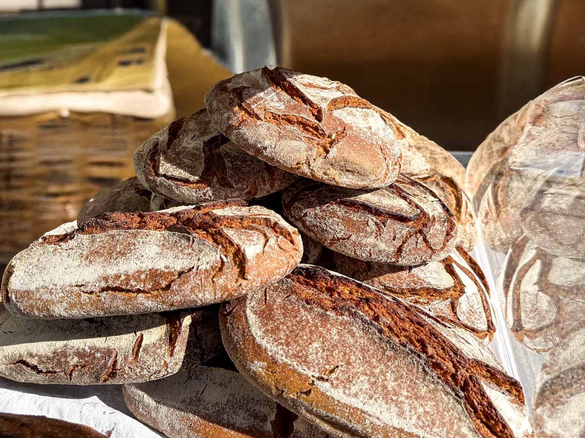 familientag gartencenter nickl credit stadttippps 27