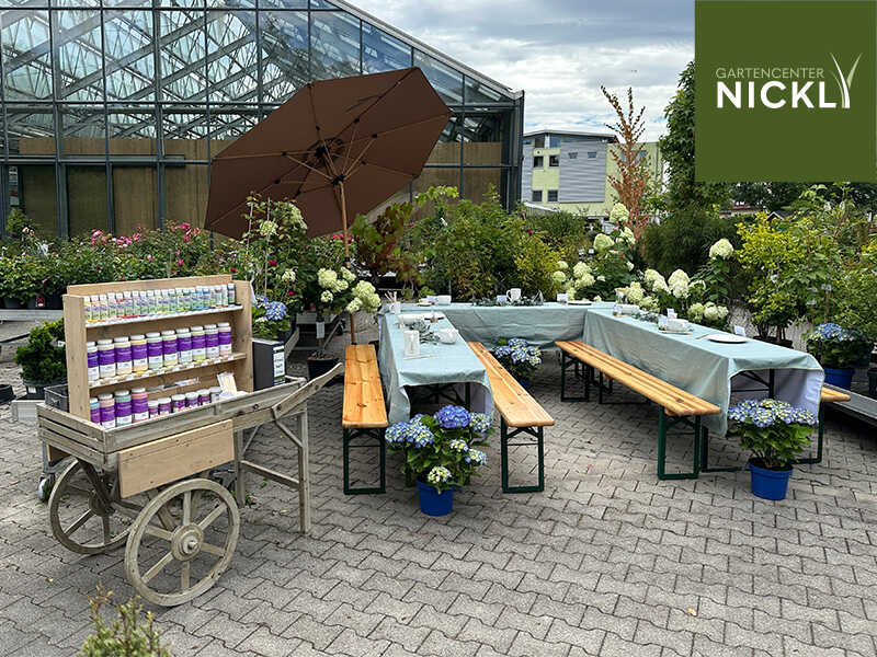 gartencenter nickl keramik outdoor