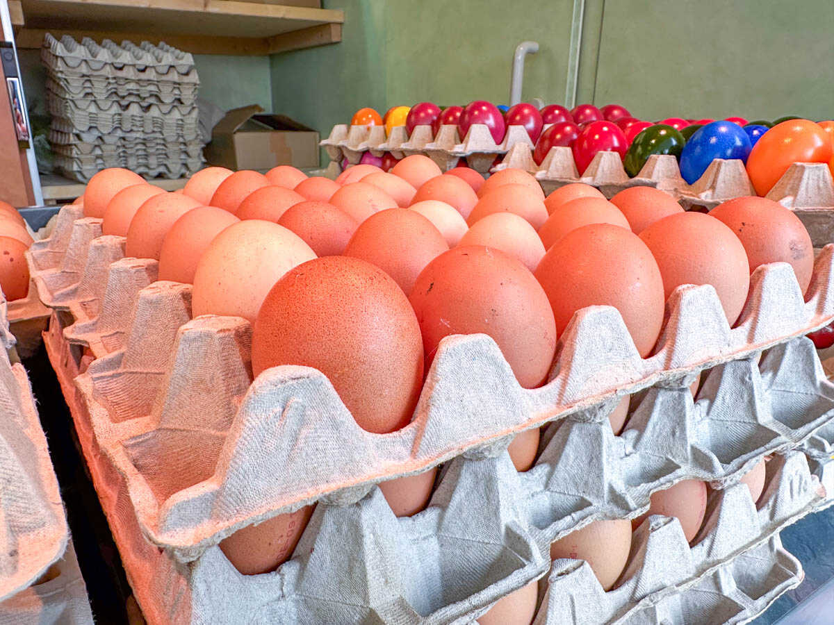 gefluegelhof kriechbaum gruener markt rosenheim 03