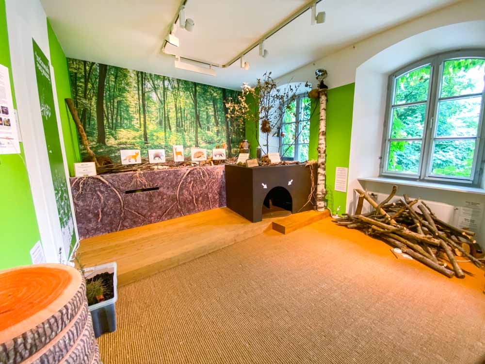 ausstellung_holz_mit_allen_sinnen_entdecken©stadttipps_rosenheim_03