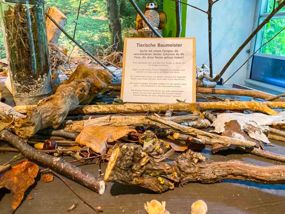 ausstellung_holz_mit_allen_sinnen_entdecken©stadttipps_rosenheim_06