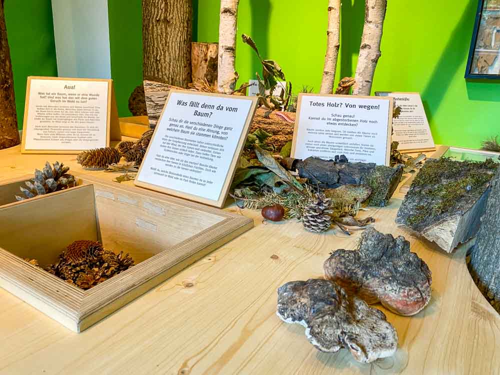 ausstellung_holz_mit_allen_sinnen_entdecken©stadttipps_rosenheim_10