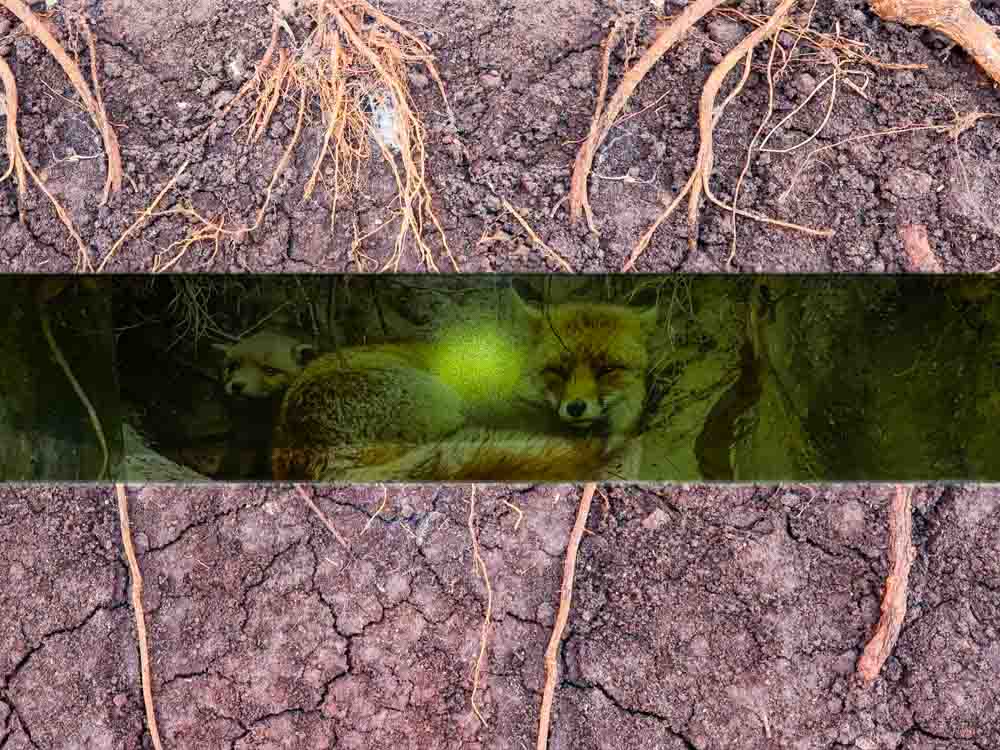 ausstellung holz mit allen sinnen entdecken©stadttipps rosenheim 04