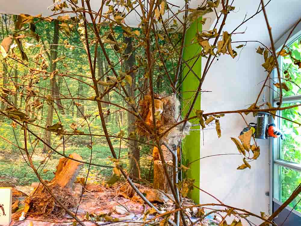 ausstellung holz mit allen sinnen entdecken©stadttipps rosenheim 07