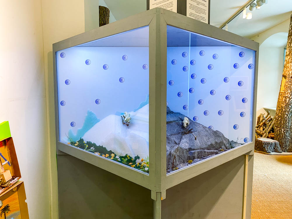 ausstellung holz mit allen sinnen entdecken©stadttipps rosenheim 14