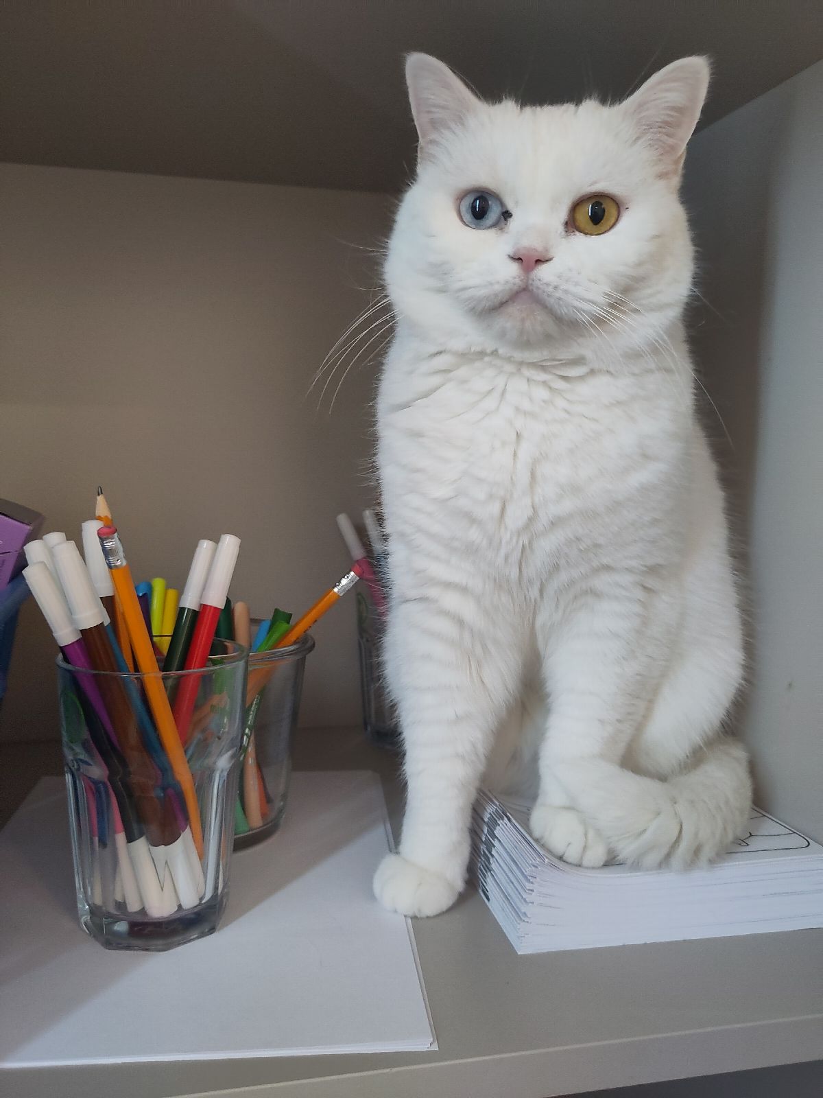 Art & Fun Malworkshop im Katzentempel Rosenheim