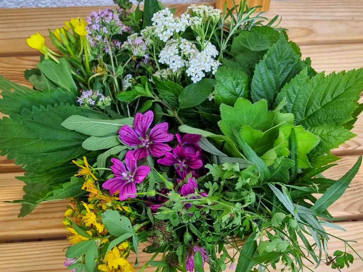 Kräuter-Workshop »Frauenkräuter für Leib und Seele«
