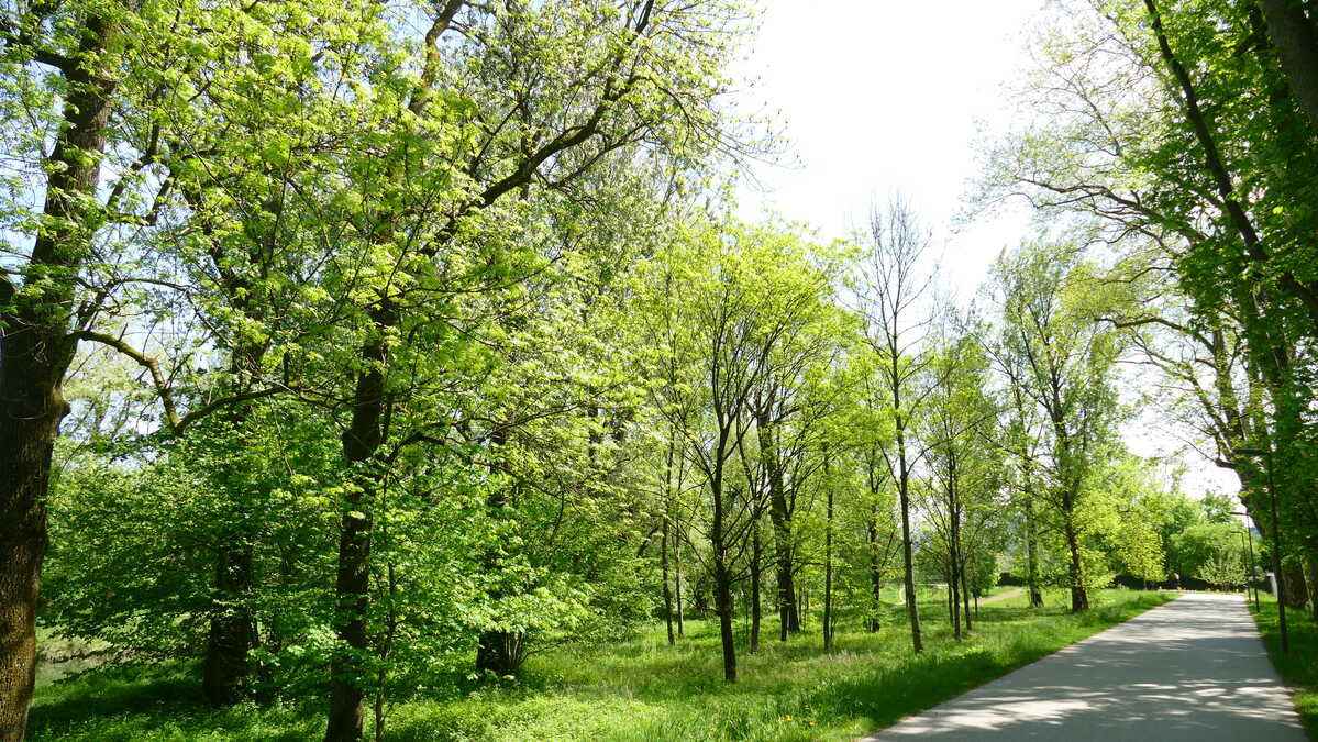 lieblingskraeuter mangfalldamm copyright bettina soelch