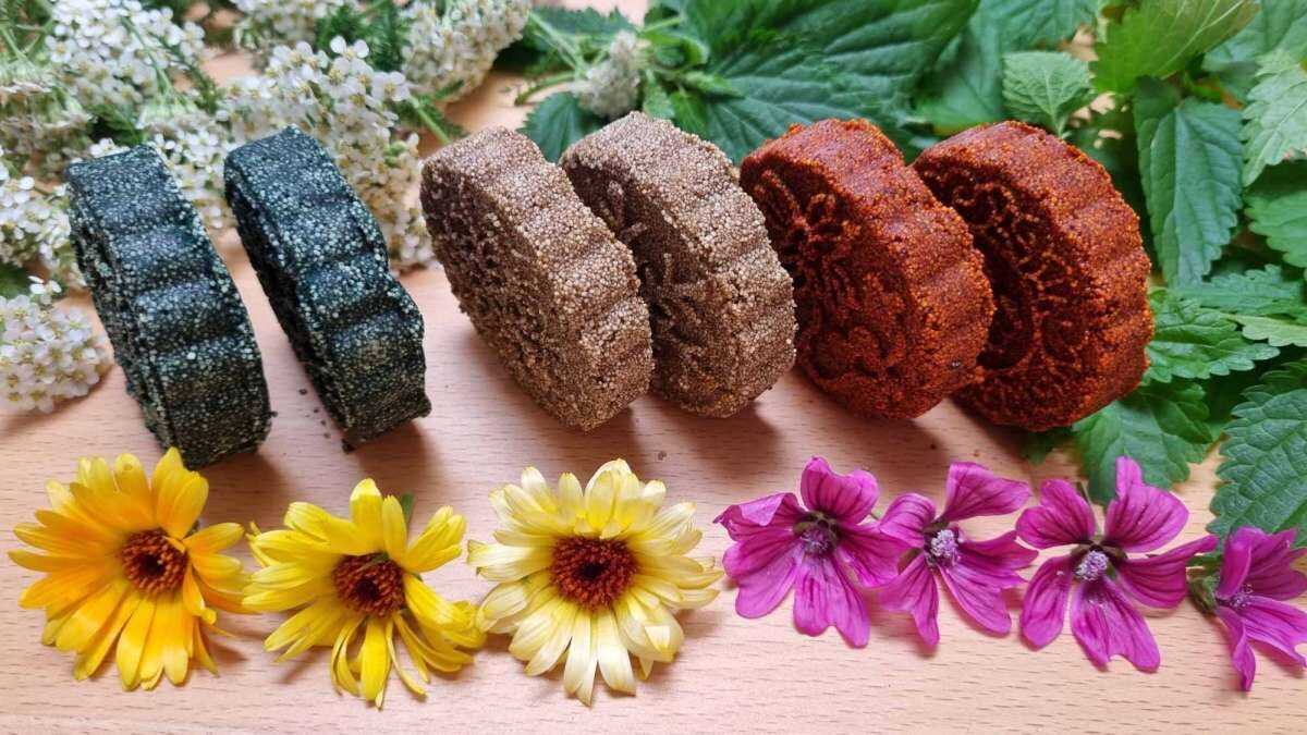 Wildes Grün für die Haare Pflanzenkosmetik pflegend, schützend & glanz