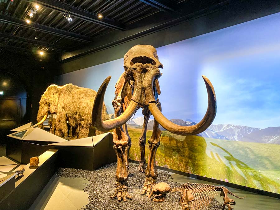 Ausstellung Eiszeit im Lokschuppen Rosenheim