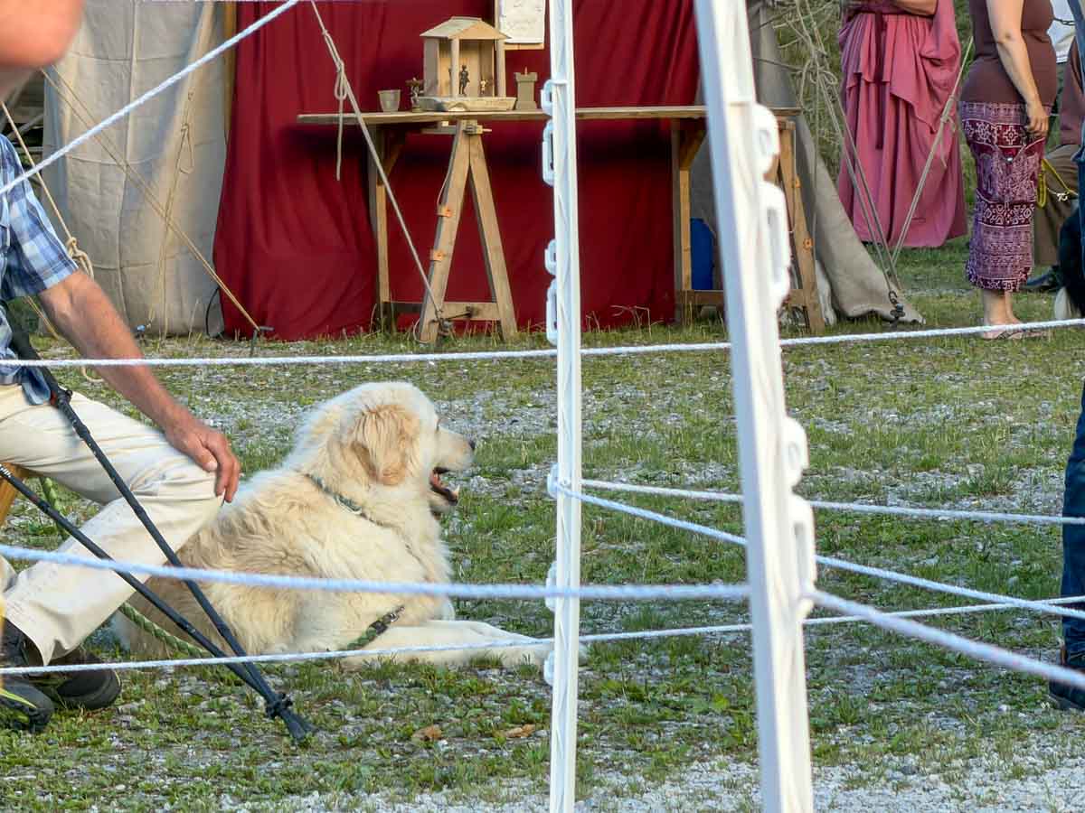 roemerfest-lokschuppen-credit-stadttipps-rosenheim-47