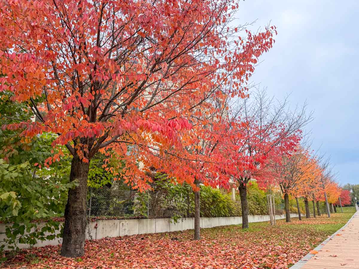 herbst-in-rosenheim-credit-stadttipps-03
