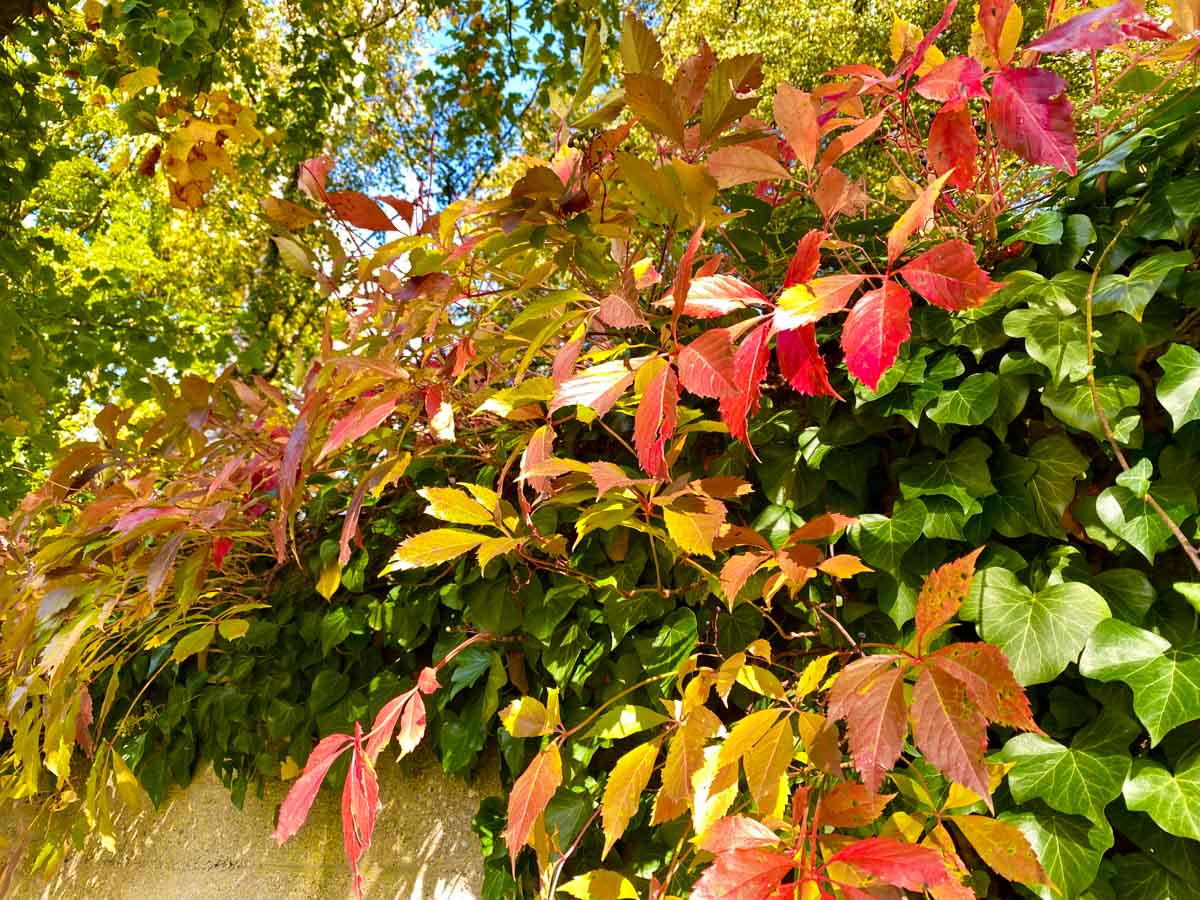 herbst-in-rosenheim-credit-stadttipps-11