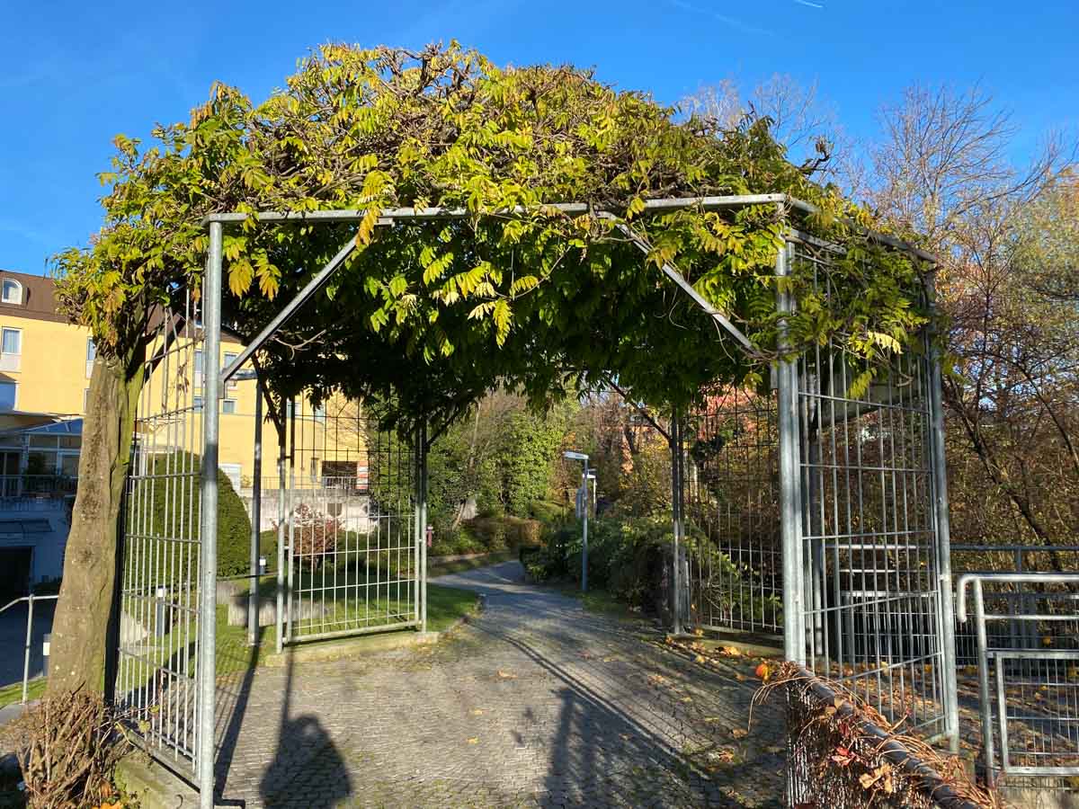 herbst-in-rosenheim-credit-stadttipps-21