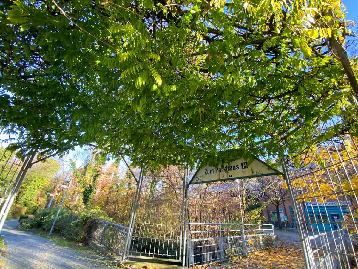 herbst-in-rosenheim-credit-stadttipps-22