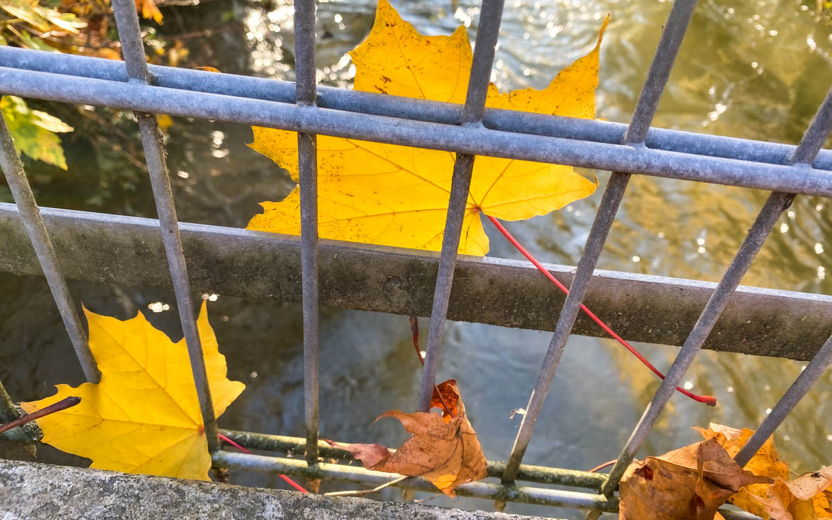 herbst-in-rosenheim-credit-stadttipps-26