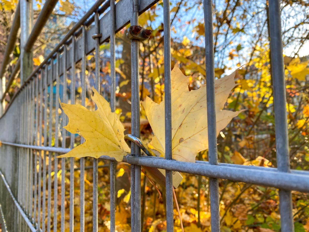 herbst-in-rosenheim-credit-stadttipps-27