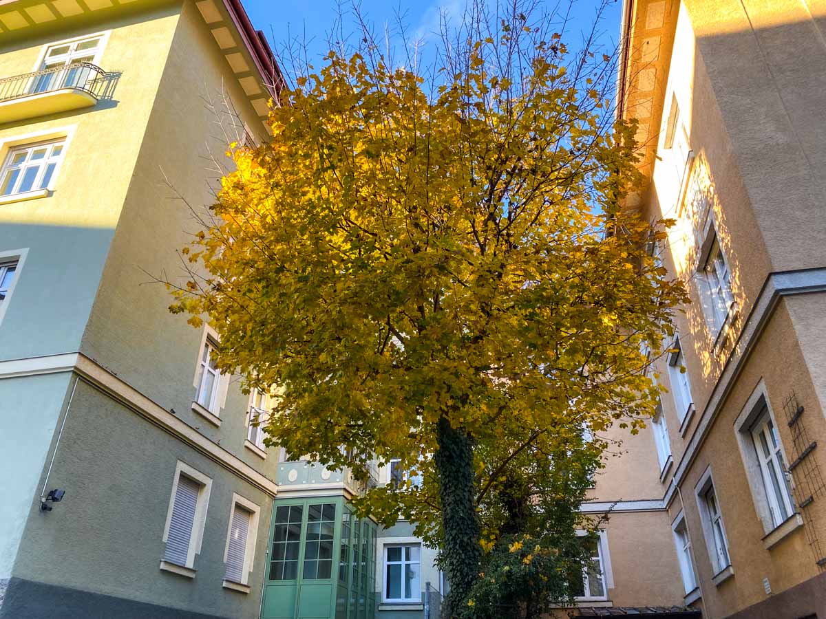 herbst-in-rosenheim-credit-stadttipps-32