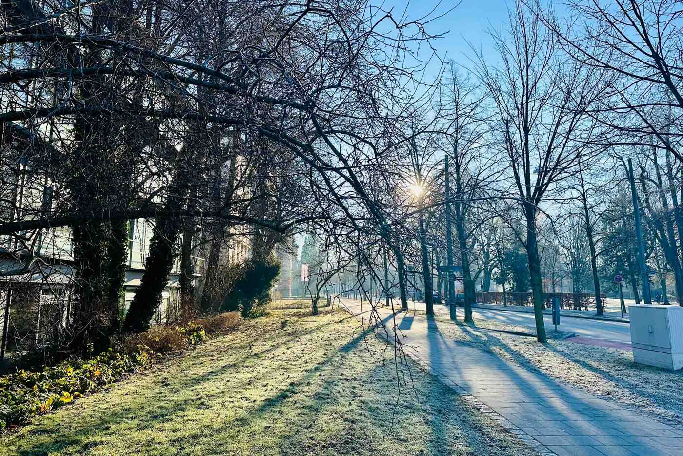 Frostig, ruhig, schön Prinzregentenstraße Rosenheim