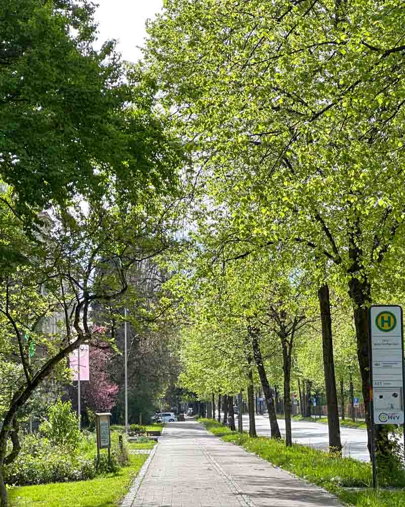 Grüße aus der Prinzregentenstraße