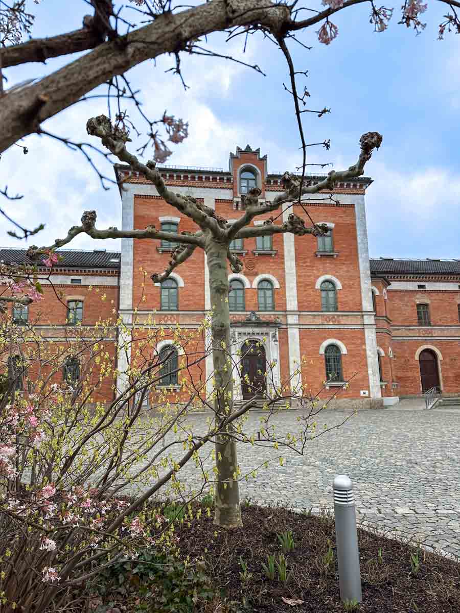 rathaus-rosenheim-credit-stadttipps-rosenheim-03