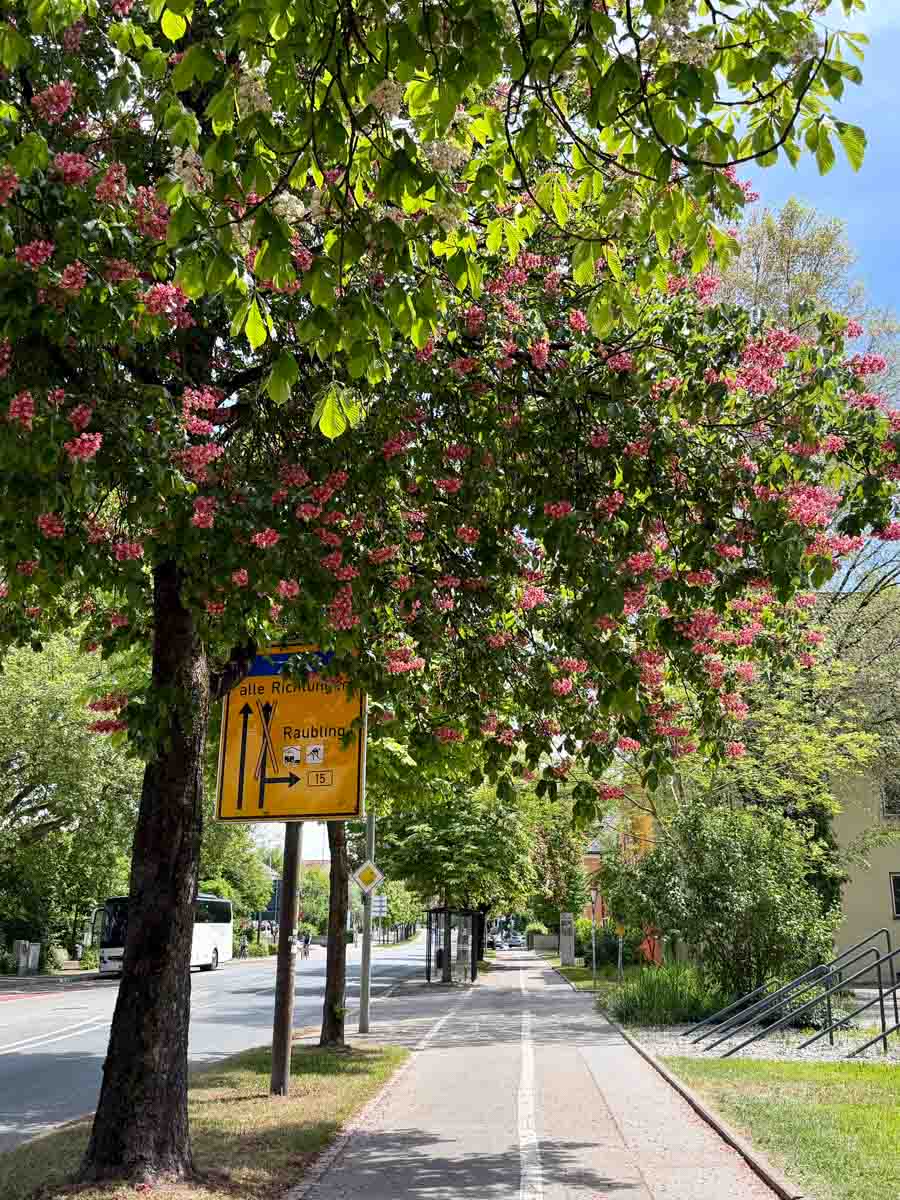Grüße aus der Prinzregentenstraße