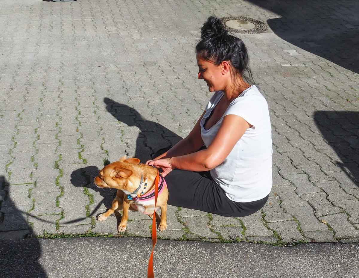 hera-herzog-otto-strasse-credit-stadttipps-rosenheim-09