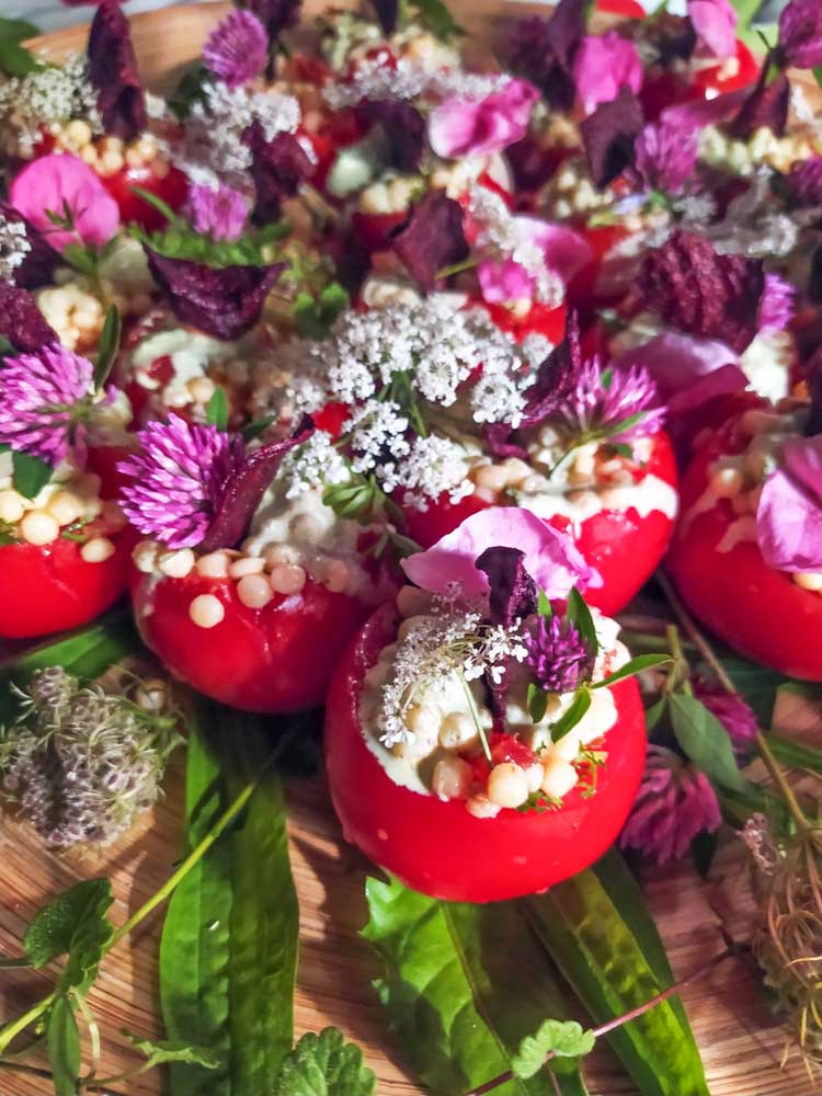 Kräuterlehrgang werde zum Kräuterexperten: Pflanzen, Bäume, Stäucher und Kochen