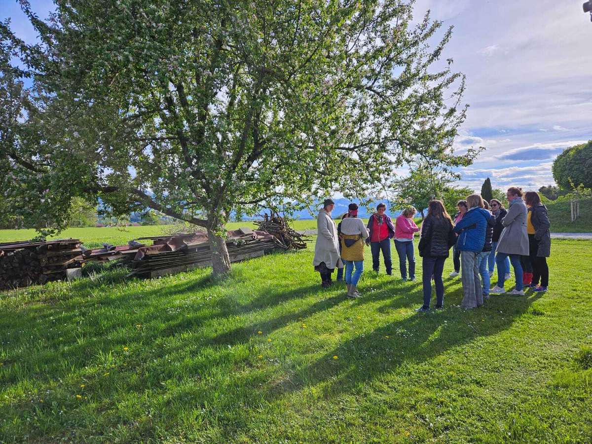 kraeuterwanderungen chiemgau andrea illguth