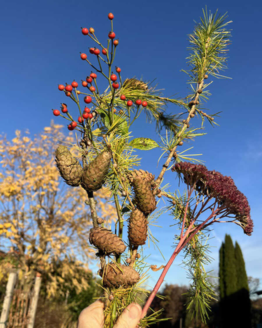 Winterkranzbinden im Treffpunkt Grün