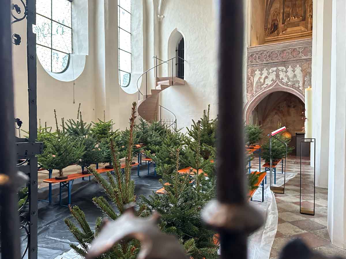 christbaumschmuecken wirtschaftlicher verband credit stadttipps 02