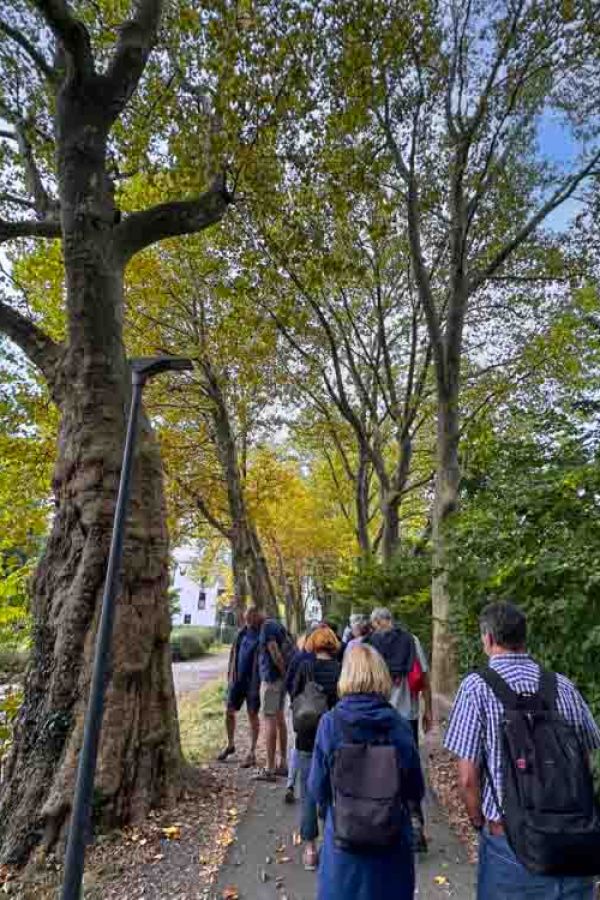 Sonderführung auf dem Stadtökologischen Themenweg