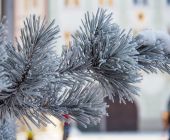 Rosenheim im Winter 035