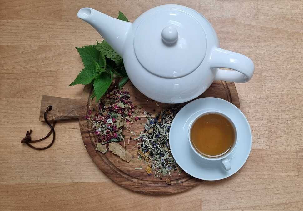 Kräuterworkshop rund um den Kräutertee