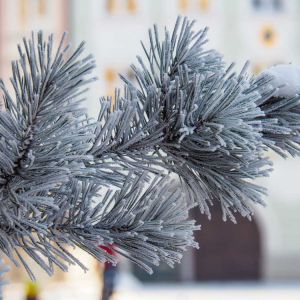 Rosenheim im Winter 035