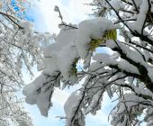 Wieder geöffnet: Friedhof, Parks, Spielplätze_02