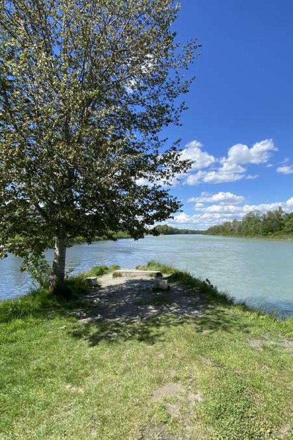 Stadtführung Wasser: „Lebensader und Gefahr“