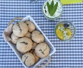 Kräuterwanderung Rosenheim Bettina Sölch 22