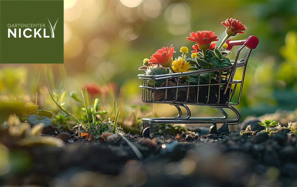 Verkaufsoffener Sonntag im Gartencenter Nickl Rosenheim