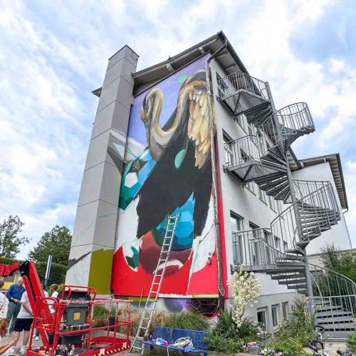 Jeroo »Mittelschule Westerndorf St. Peter«